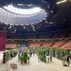 Festiwal roślin Katowice 2021 (3)