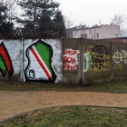 Zdewastowany park w Dąbrówce Małej (6)