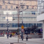 Klony na 3 Maja (4)