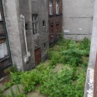 Kamienice ul. Mariacka (10)