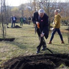 Sadzenie dębów na os. Tysiąclecia (7)