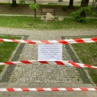 zdjęcie nr 8