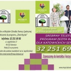 Złota rączka (2)
