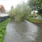 Rawa w centrum Katowic (4)