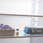 Szczepienie na COVID-19 w Katowicach (2)