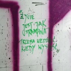 zdjęcie nr 7