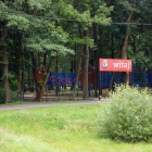 zdjęcie nr 13