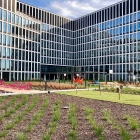 Teren zielony przy biurowcach Face2Face (6)