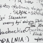 zdjęcie nr 11