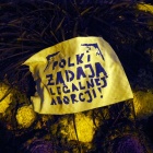 zdjęcie nr 7