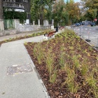 Zielony skwer w centrum Katowic (7)