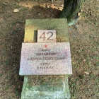zdjęcie nr 8