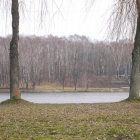 Drzewa do wycinki Dolina Trzech Stawów (3)