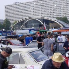 zdjęcie nr 7