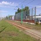 zdjęcie nr 15