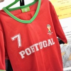 Podzielnik Bogucki (10)