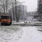 Wycinka drzew ul. Uniwersytecka 2