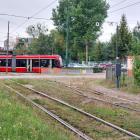 Fotka nr 5 z 11