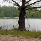 Starganiec (5)