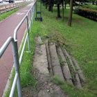 zdjęcie nr 9