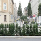 zdjęcie nr 17