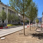 Warszawska Katowice