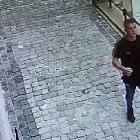 49-688904_g