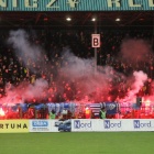 zdjęcie nr 14