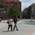Weekend_palmy_rynek7