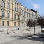 zdjęcie nr 8