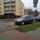 zdjęcie nr 10