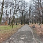 Rewitalizacja Parku Wełnowieckiego (3)