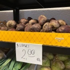 zdjęcie nr 9