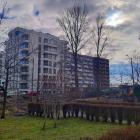 Wycinka drzew na os. Paderewskiego (fot. Anna Csernak)