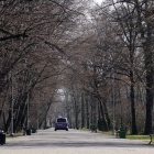 Straż miejska, Park Kościuszki (2)