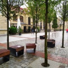 zdjęcie nr 12