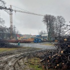Wycinka w Parku Śląskim (4)