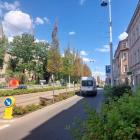 zdjęcie nr 8