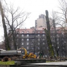 wycinka na pl. Andrzeja (1)