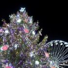 Choinka i świąteczne iluminacje na Rynku (2)