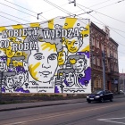 Mural z dr Jolantą Wadowską-Król (2)