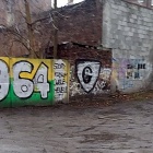 Zdewastowany park w Dąbrówce Małej (3)