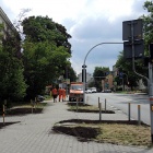Rewitalizacja zieleńców w Katowicach (13)