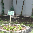 zdjęcie nr 10