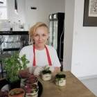 Zielnik krystynki (2)