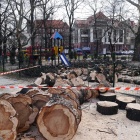 Skutki wichury w Katowicach (7)