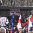 zdjęcie nr 12