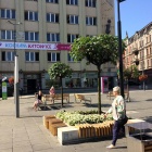 Surmie na pl. Kwiatowym