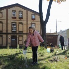 Zielone Załęże sadzi drzewa (10)