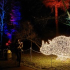 Ogród świateł w śląskim zoo (11)